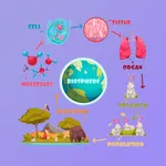 Learn Biology Division [Pro] icon