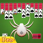 Spider Solitaire Pro icon