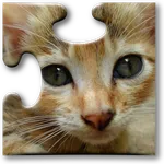 Cats Jigsaw Puzzles icon