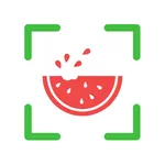 NutriPic: Calories by Photo icon