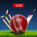 Crick live score icon