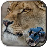Hidden Animals: Photo Hunt icon