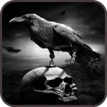 Crow Wallpaper 2 icon