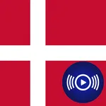 DK Radio - Danish Radios icon