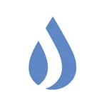 Chota icon