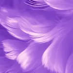 Purple Wallpapers HD icon