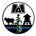 DAES v1 icon