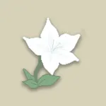 Automata Waifu Wallpapers icon