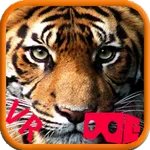 الحيوانات المخيفة VR icon
