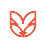 Novaconnect icon