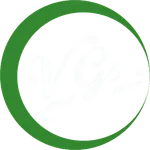 VGS icon