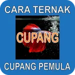 Cara Ternak Ikan Cupang Pemula icon