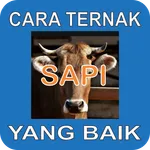 Cara Ternak Sapi yang Baik icon