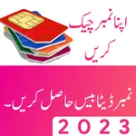 Nic Details with Picture icon