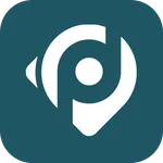 Dataplace - Inspeção de quanti icon