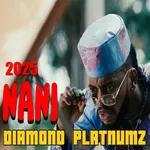 Diamond Platnumz - Nani 2025 icon
