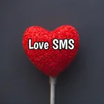 LOVE SMS AND QUOTES | LOVE MES icon