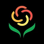 Daysaki.vn icon