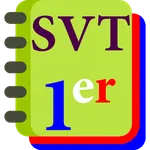 SVT 1re icon