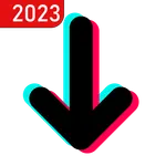 Video Downloader for TT icon