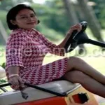 mp3 dian piesesha offline vol  icon