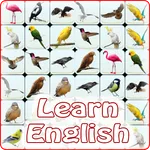 Onet Bird: Learn English icon