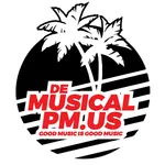 Demusicalpm.us icon