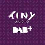 TinyDAB icon