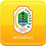 Desa Setunggul icon