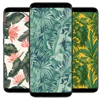 Best Tropical Wallpaper for Ph icon