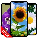 Flower Background Wallpaper icon
