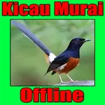 Master Bird Chirping icon