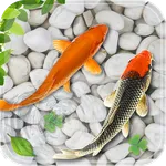 Fish Live Wallpaper Aquarium icon