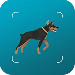 Random Dogs icon
