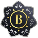 Bitsmoney icon