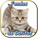 Fondos de Gatitos icon