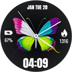Butterfly WatchFace icon