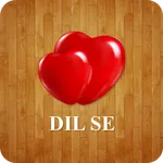 DIL SE icon