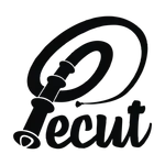 Pecut Kota Kediri icon