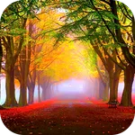 Autumn Wallpaper 2023 icon