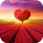 Love Wallpaper 2023 icon