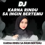 Lagu Dj Karna Rindu Offline icon