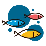 CCDA icon