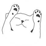 집사 일기 : 고냥이 전용이다옹! icon