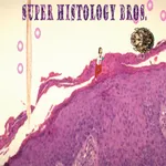 Super Histology Bros. icon