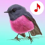 Bird Songs: Ringtones icon