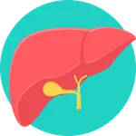 Hepatic Calculator icon