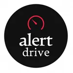 alert drive icon