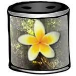 Magicolor Live Wallpaper icon
