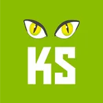Keyes Tours icon